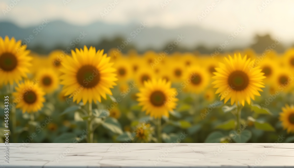 Obraz premium Sunflower Field with White Marble Platform