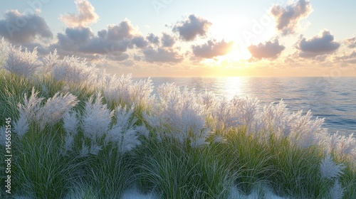 Sunset over the ocean with feathery grass in the foreground, clouds above