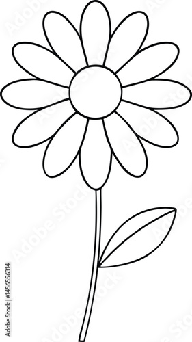 daisy flower isolated on white background