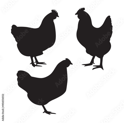 Vector silhouette set of chicken on white background
