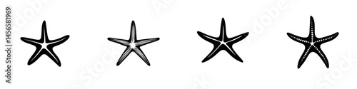 Vector illustration of four starfish designs in black and white, suitable for artistic and decorative purposes