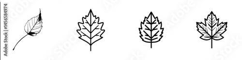 Vector illustration of various leaf designs showcasing different styles and shapes in an artistic format