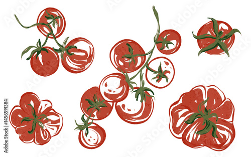 Set of vector illustrations with tomatoes. Vegetables and ingredients for dishes like pasta, pizza, and caprese. Images of fresh, organic tomatoes with on white background for packaging and labels.