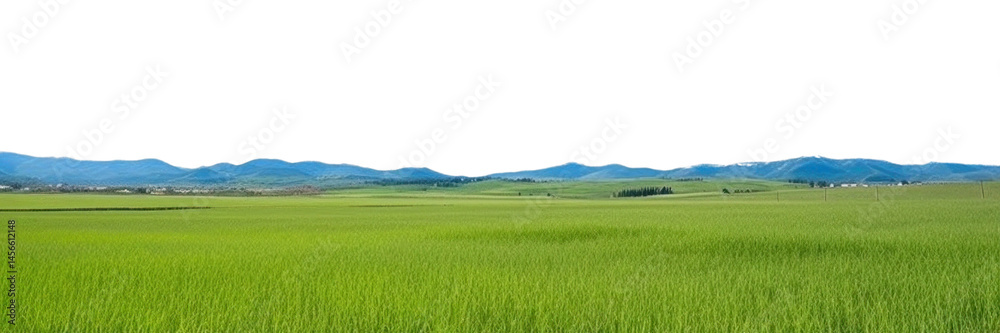 Naklejka premium PNG Sunny weather landscape outdoors horizon.