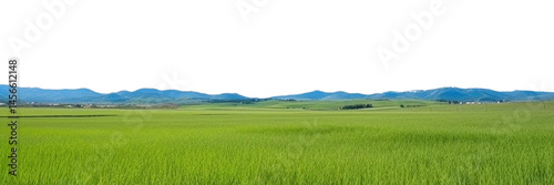 PNG Sunny weather landscape outdoors horizon.