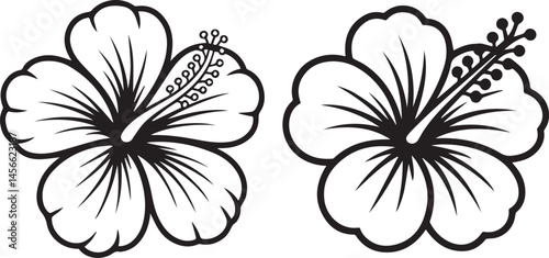 flower drawing vector, floral art print, hand drawn flower, botanical illustration, bloom vector design, floral sketch graphic, nature flower artwork, elegant flower vector, flower head illustration,