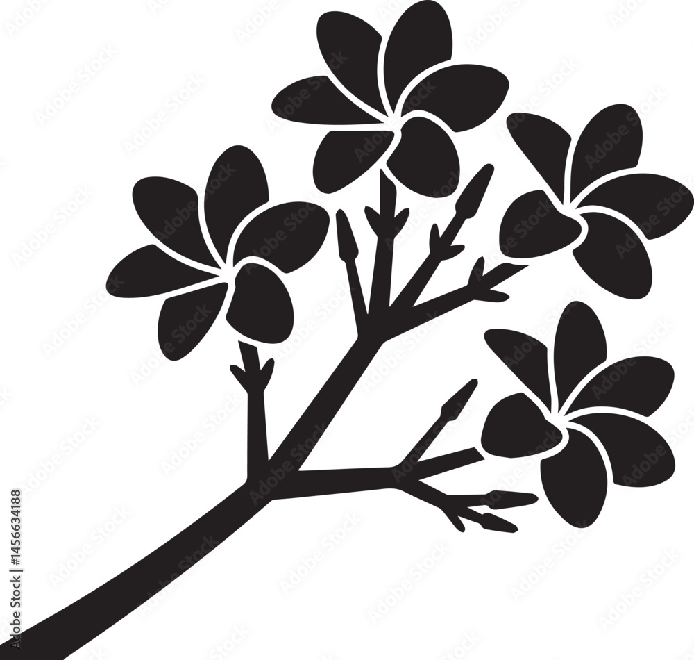Obraz premium frangipani flower vector, plumeria illustration, tropical flower design, frangipani blossom art, floral clipart, exotic flower graphic, white flower vector, summer bloom vector
