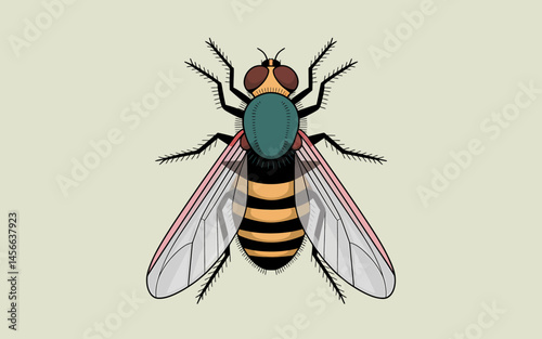 Detailed Illustration of a Green Bottle Fly with Yellow Stripes