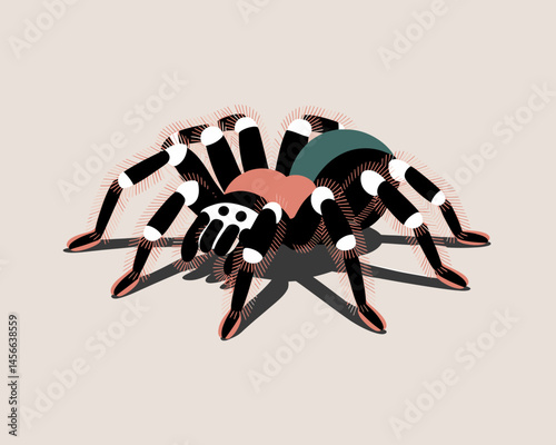 Isolated spider on light background vector spider arachnid illustration