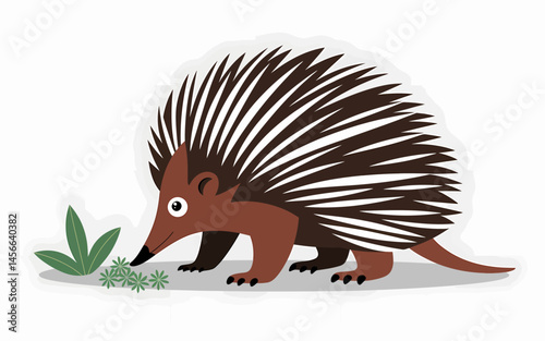 Cute Echidna Foraging Vector Illustration of Spiny Anteater