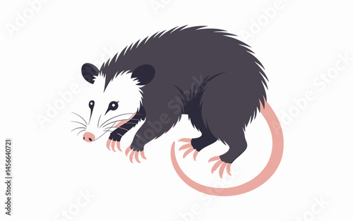 Isolated Virginia Opossum Illustration Vector Image Wildlife Animal Mammal