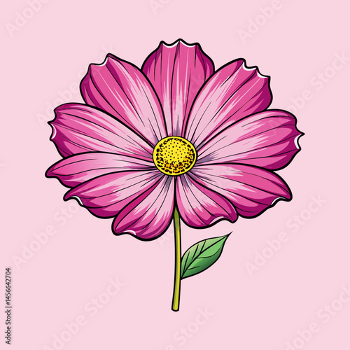 Vibrant Pink Cosmos Flower Illustration Botanical Art Graphic Design Element