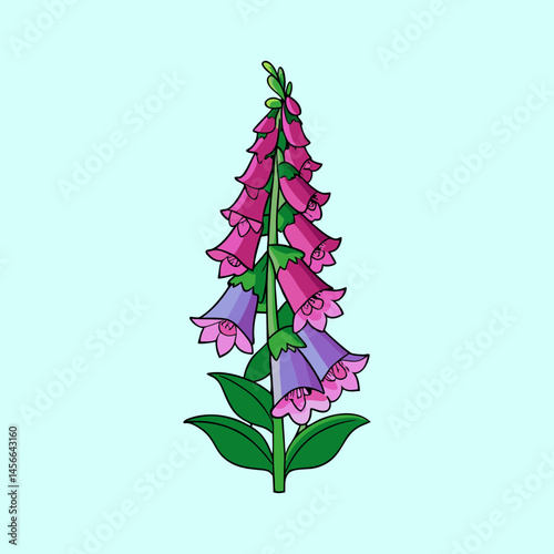 Illustration of a Beautiful Pink and Purple Foxglove Flower with Green Leaves
