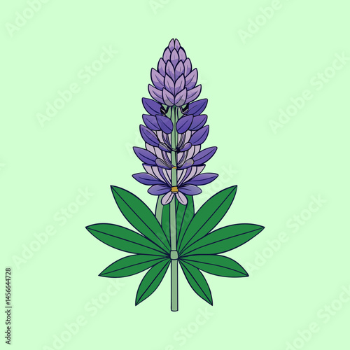 A Vibrant Illustration of a Single Purple Lupin Flower with Lush Green Leaves