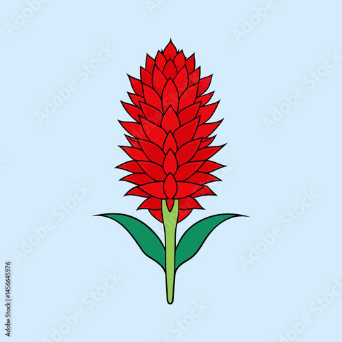 Vibrant Red Flower Illustration Botanical Design Element