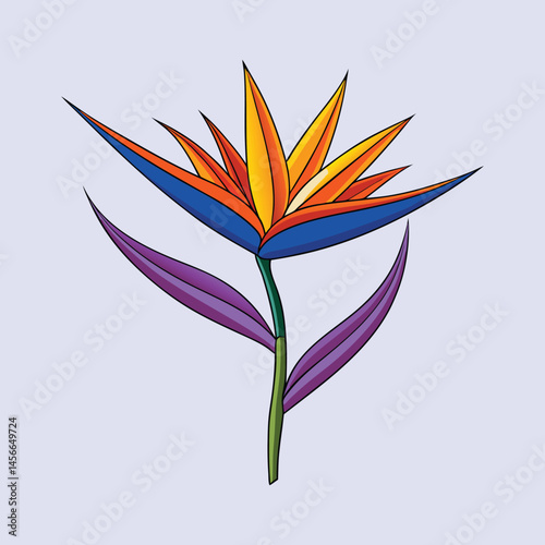 Vibrant Bird of Paradise Flower Illustration Tropical Botanical Art Graphic Design