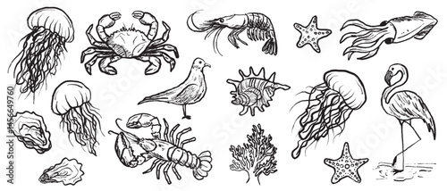 Marine animals jellyfish, lobster, crab, squid, oyster, shrimp, coral, starfish, shells in black brush stroke texture isolated on white. Hand drawn vector sketch illustration in vintage charcoal ink.