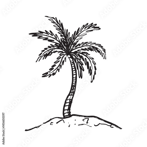 Palm tree growing on beach in the sea in black brush stroke texture isolated on white. Hand drawn vector sketch illustration in vintage charcoal ink. Sea vacation, print design, travel drawing.