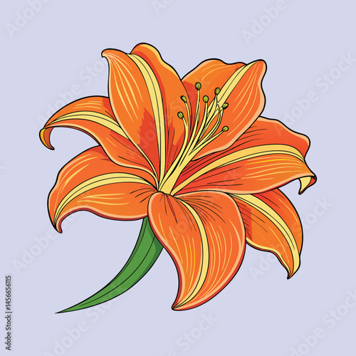 Vibrant Orange Lily Flower Blossom Detailed Illustration Botanical Art