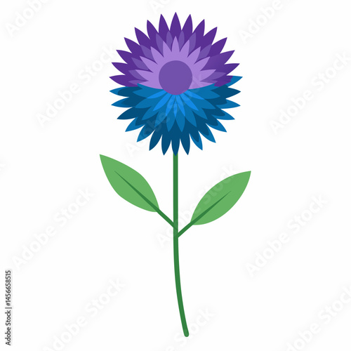 Bachelor’s Button Vector on White Background