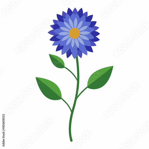 Bachelor’s Button Vector on White Background