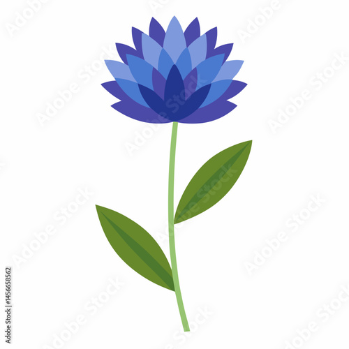Bachelor’s Button Vector on White Background