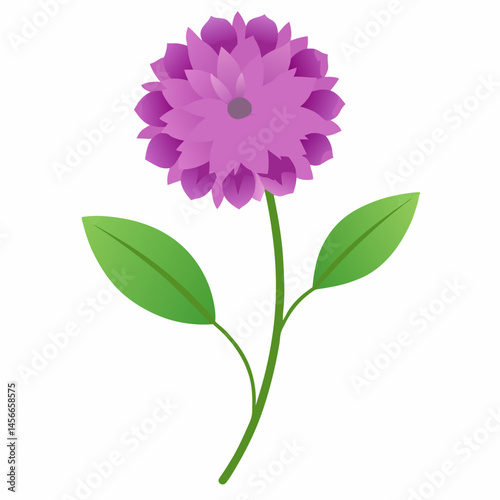 Bachelor’s Button Vector on White Background