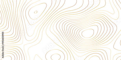 Abstract topographic map contour, white background and colorful wave lines pattern texture. geographic contour map grid backdrop paper texture. terrain path isolated on a background.	