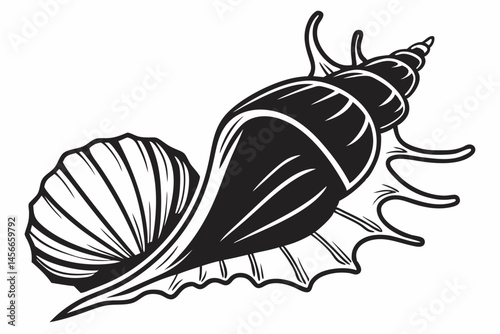 bivalve sihouette black vector
