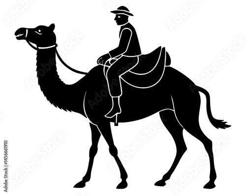 Man riding camel
