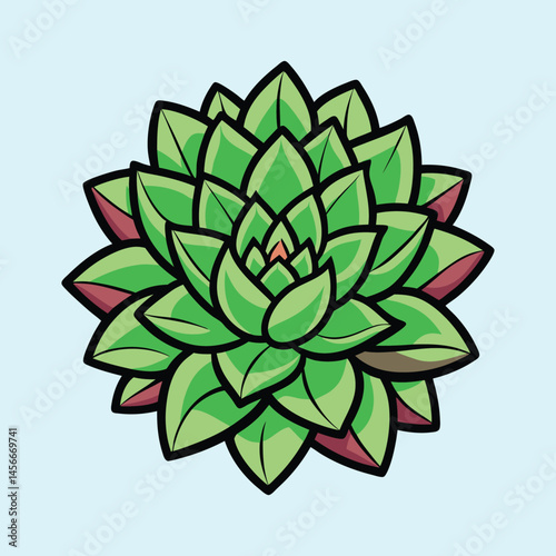 A Vibrant Green Echeveria Succulent Plant Illustration Featuring Detailed Leaves and a Central Rosette