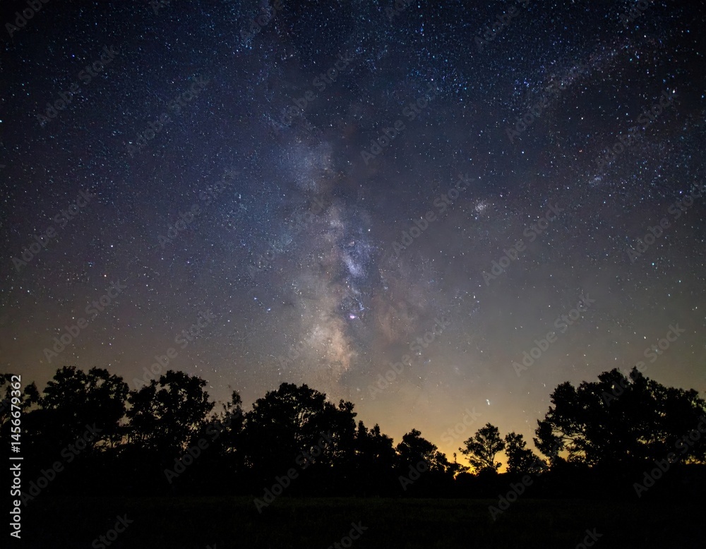Fototapeta premium Milky Way Over Silhouetted Trees At Night
