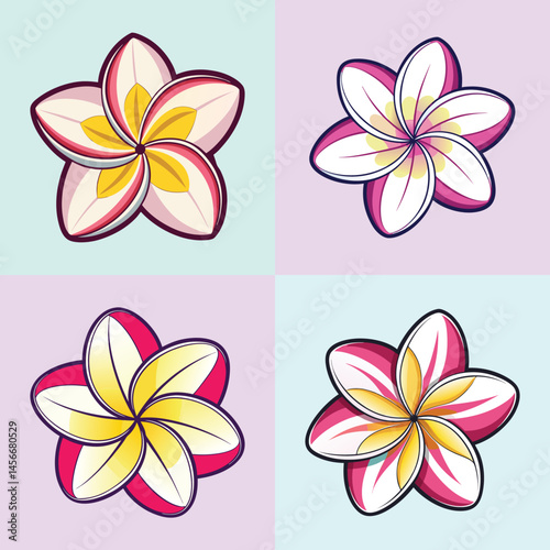 Collection of Four Vibrant Plumeria Flowers with Pink and Yellow Petals