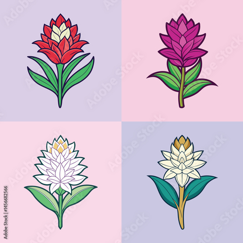 Tropical ginger flower icons, set of 4 exotic botanical illustrations in EPS format, colorful blooming ginger lily symbols for spa and wellness branding