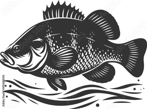 Vector silhouette of a crappie fish