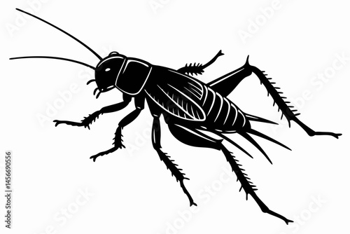 cricket sihouette black vector