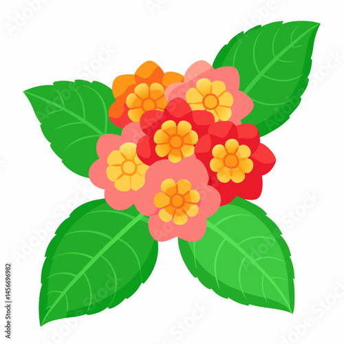 Lantana Vector Illustration on White Backgroun