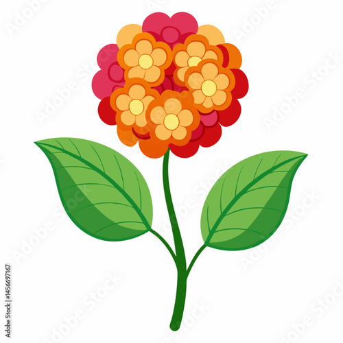 Lantana Vector Illustration on White Backgroun