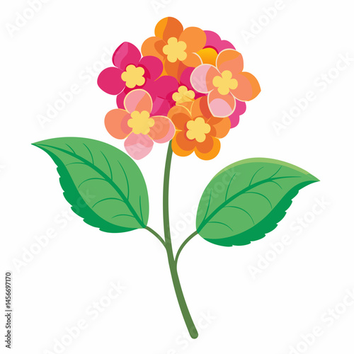 Lantana Vector Illustration on White Backgroun