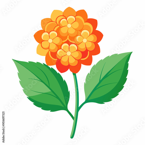 Lantana Vector Illustration on White Backgroun