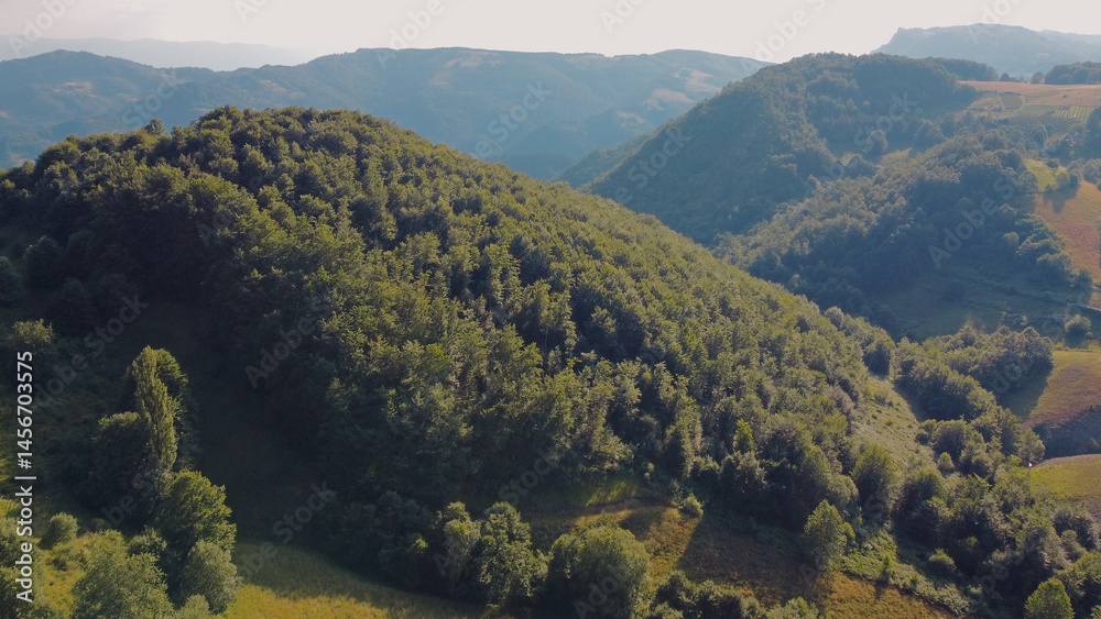 Tranquil sunny summer landscape with green fields and hills.