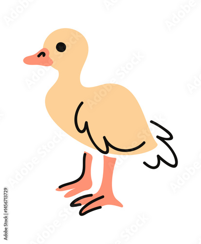 Little duckling hand drawn bird