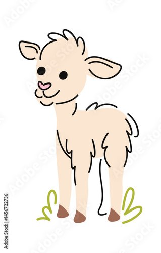 Lamb farm animal hand drawn
