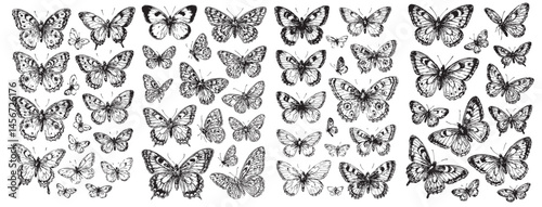 Butterfly Bundle