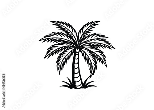 Silhouette of palm tree isolated on a white background
