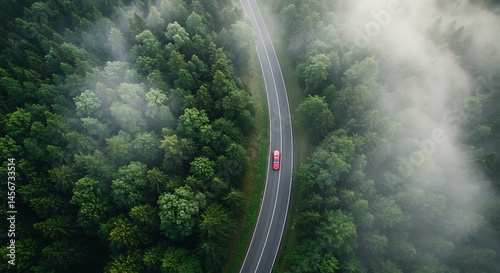 Serene misty forest road journey a red car winds through lush green trees an idyllic escape