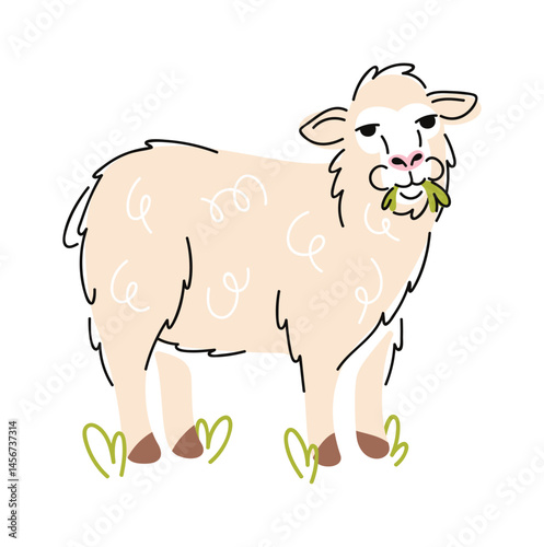 Sheep grazing grass hand drawn