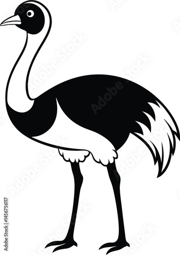 Ostrich silhouette, Ostrich silhouette vector, emu bird black silhouette, vector illustration