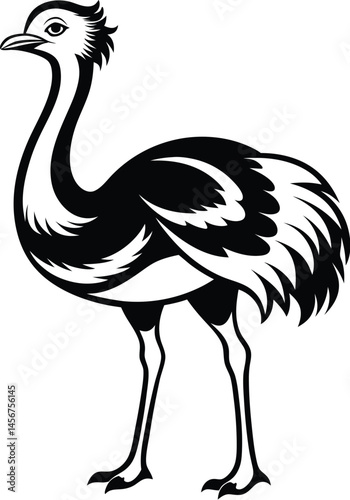 Ostrich silhouette, Ostrich silhouette vector, emu bird black silhouette, vector illustration