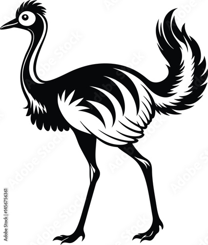 Ostrich silhouette, Ostrich silhouette vector, emu bird black silhouette, vector illustration